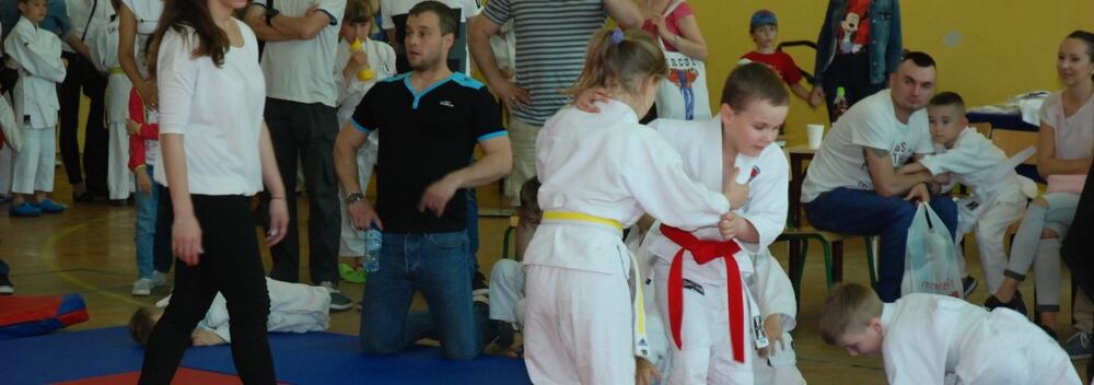 I Mistrzostwa Pogórza Dzieci w Judo – 22.05.2016 — zdjęcie z archiwum klubu
