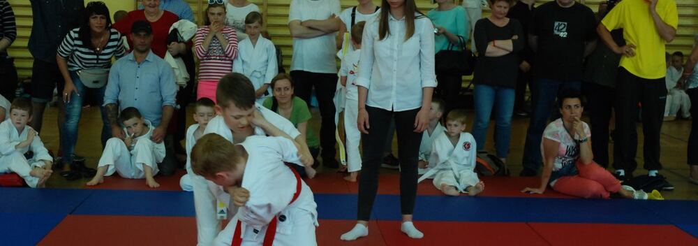 I Mistrzostwa Pogórza Dzieci w Judo – 22.05.2016 — zdjęcie z archiwum klubu
