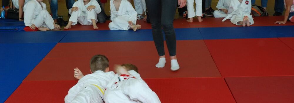 I Mistrzostwa Pogórza Dzieci w Judo – 22.05.2016 — zdjęcie z archiwum klubu