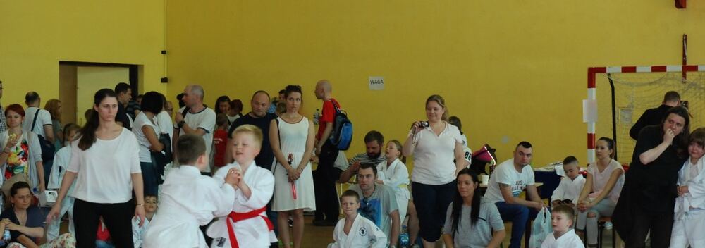 I Mistrzostwa Pogórza Dzieci w Judo – 22.05.2016 — zdjęcie z archiwum klubu