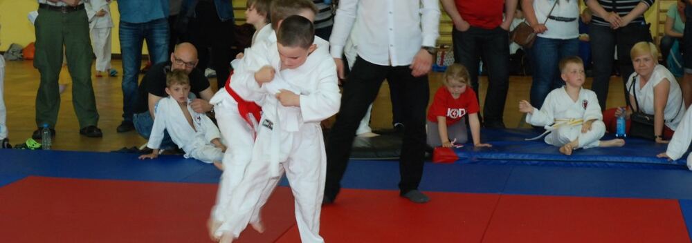 I Mistrzostwa Pogórza Dzieci w Judo – 22.05.2016 — zdjęcie z archiwum klubu