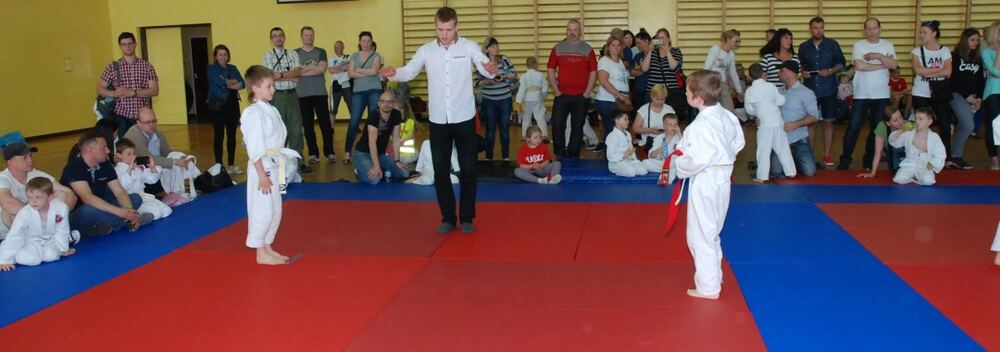 I Mistrzostwa Pogórza Dzieci w Judo – 22.05.2016 — zdjęcie z archiwum klubu
