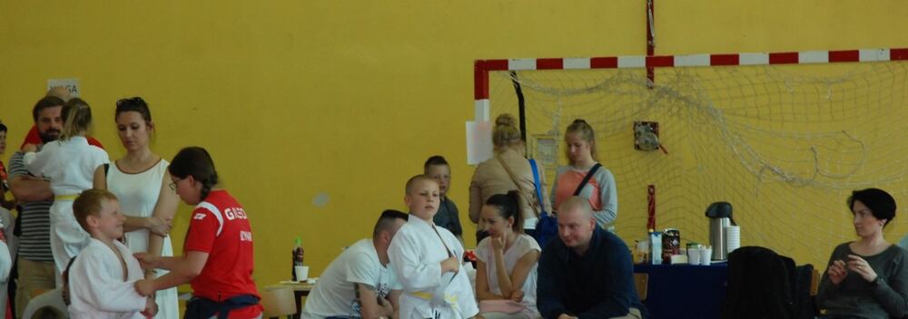 I Mistrzostwa Pogórza Dzieci w Judo – 22.05.2016 — zdjęcie z archiwum klubu