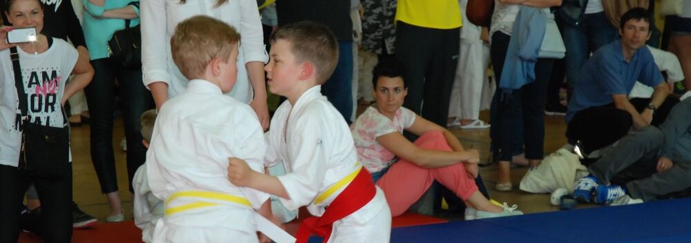 I Mistrzostwa Pogórza Dzieci w Judo – 22.05.2016 — zdjęcie z archiwum klubu
