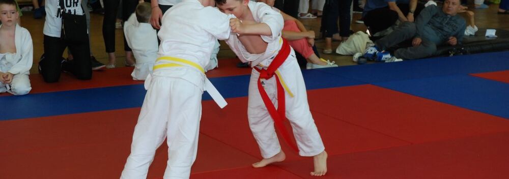 I Mistrzostwa Pogórza Dzieci w Judo – 22.05.2016 — zdjęcie z archiwum klubu