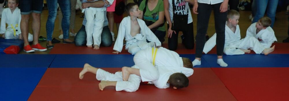 I Mistrzostwa Pogórza Dzieci w Judo – 22.05.2016 — zdjęcie z archiwum klubu