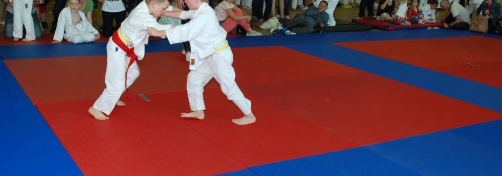 I Mistrzostwa Pogórza Dzieci w Judo – 22.05.2016 — zdjęcie z archiwum klubu