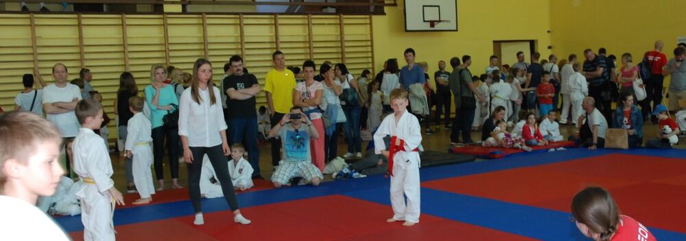I Mistrzostwa Pogórza Dzieci w Judo – 22.05.2016 — zdjęcie z archiwum klubu