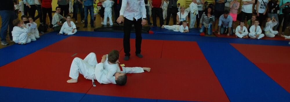 I Mistrzostwa Pogórza Dzieci w Judo – 22.05.2016 — zdjęcie z archiwum klubu
