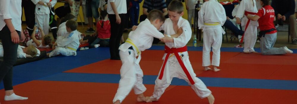 I Mistrzostwa Pogórza Dzieci w Judo – 22.05.2016 — zdjęcie z archiwum klubu