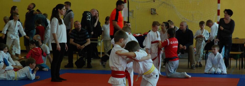 I Mistrzostwa Pogórza Dzieci w Judo – 22.05.2016 — zdjęcie z archiwum klubu