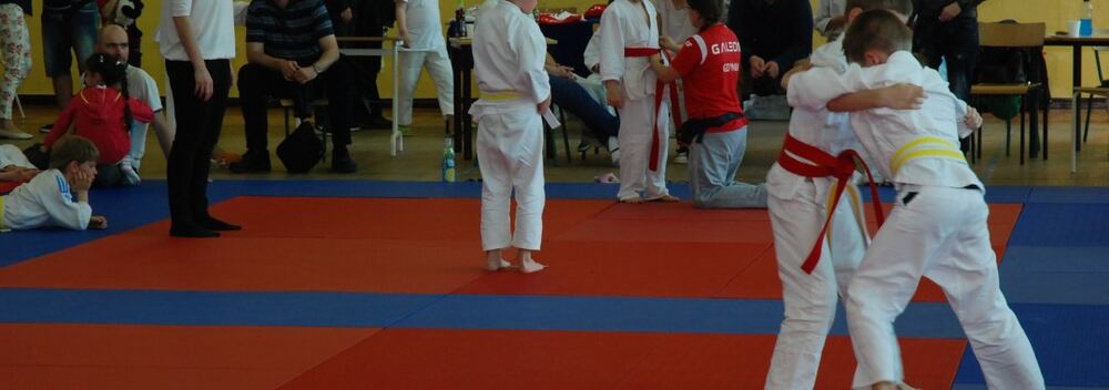 I Mistrzostwa Pogórza Dzieci w Judo – 22.05.2016 — zdjęcie z archiwum klubu