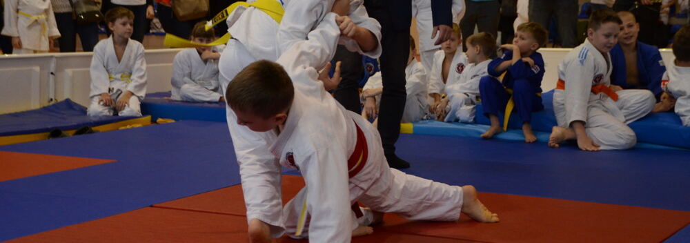 II Mistrzostwa Akademii Judo Dragon w Baninie-24.11.2017 — zdjęcie z archiwum klubu
