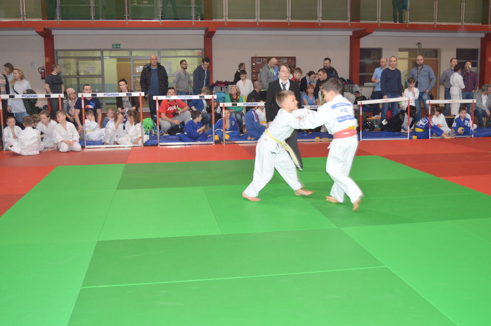 Turniej Judo Dzieci Gryfek 18.02.2017 — zdjęcie z archiwum klubu