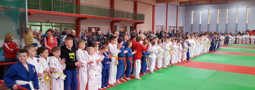Turniej Judo Dzieci Gryfek 18.02.2017 — zdjęcie z archiwum klubu