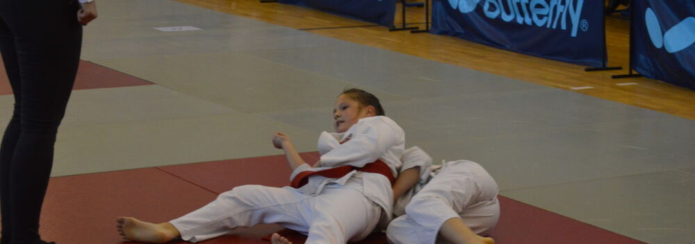 XXIII Mistrzostwa Pomorza w Judo Dzieci 21.11.2015 — zdjęcie z archiwum klubu