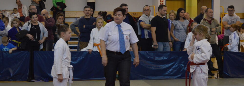 XXIII Mistrzostwa Pomorza w Judo Dzieci 21.11.2015 — zdjęcie z archiwum klubu
