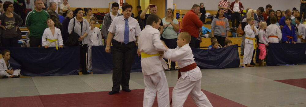 XXIII Mistrzostwa Pomorza w Judo Dzieci 21.11.2015 — zdjęcie z archiwum klubu